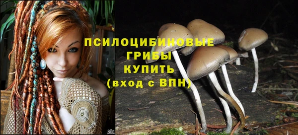 шишки Богданович