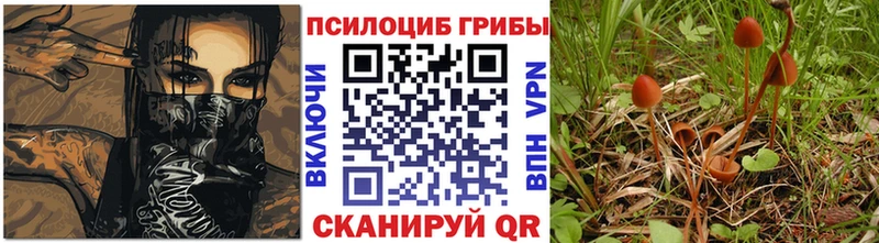 Псилоцибиновые грибы мицелий  Хасавюрт 